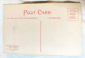 Black Americana A Southern Express Man And Oxen Cart Rotograph 1908 - TulipStuff