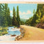 Spearfish Canyon Black Hills South Dakota Linen Postcard 1940's - TulipStuff