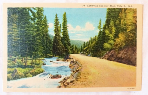 Spearfish Canyon Black Hills South Dakota Linen Postcard 1940's - TulipStuff