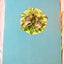 The Squirrel Twins Helen Wing Rand McNally Giant Book 1961 - TulipStuff