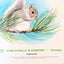 The Squirrel Twins Helen Wing Rand McNally Giant Book 1961 - TulipStuff