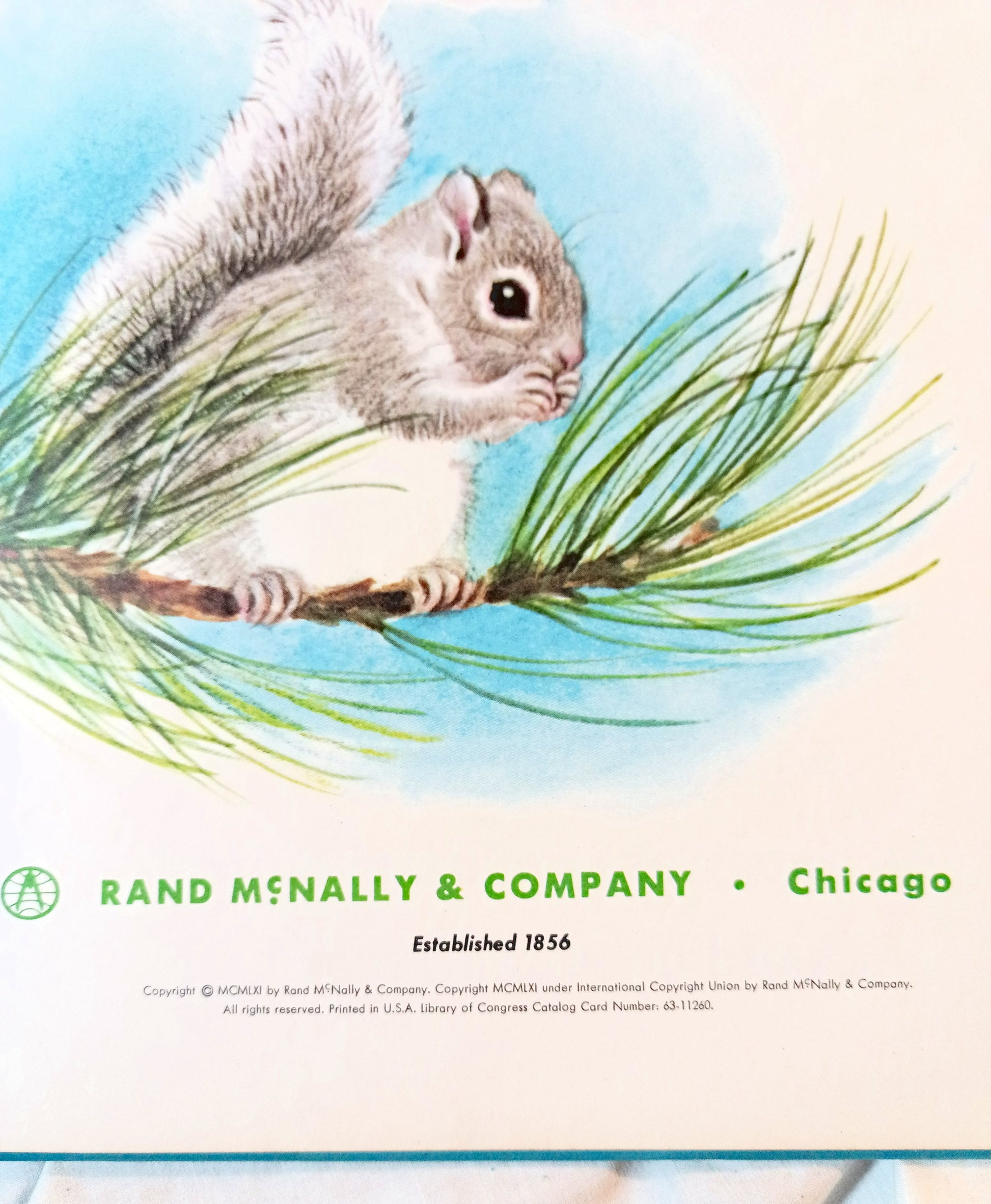 The Squirrel Twins Helen Wing Rand McNally Giant Book 1961 - TulipStuff