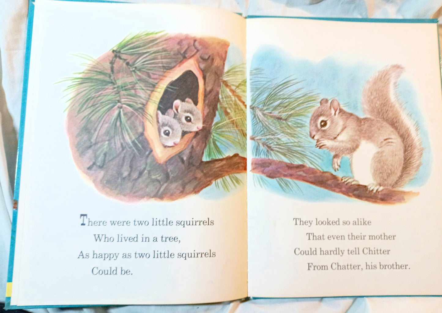 The Squirrel Twins Helen Wing Rand McNally Giant Book 1961 - TulipStuff