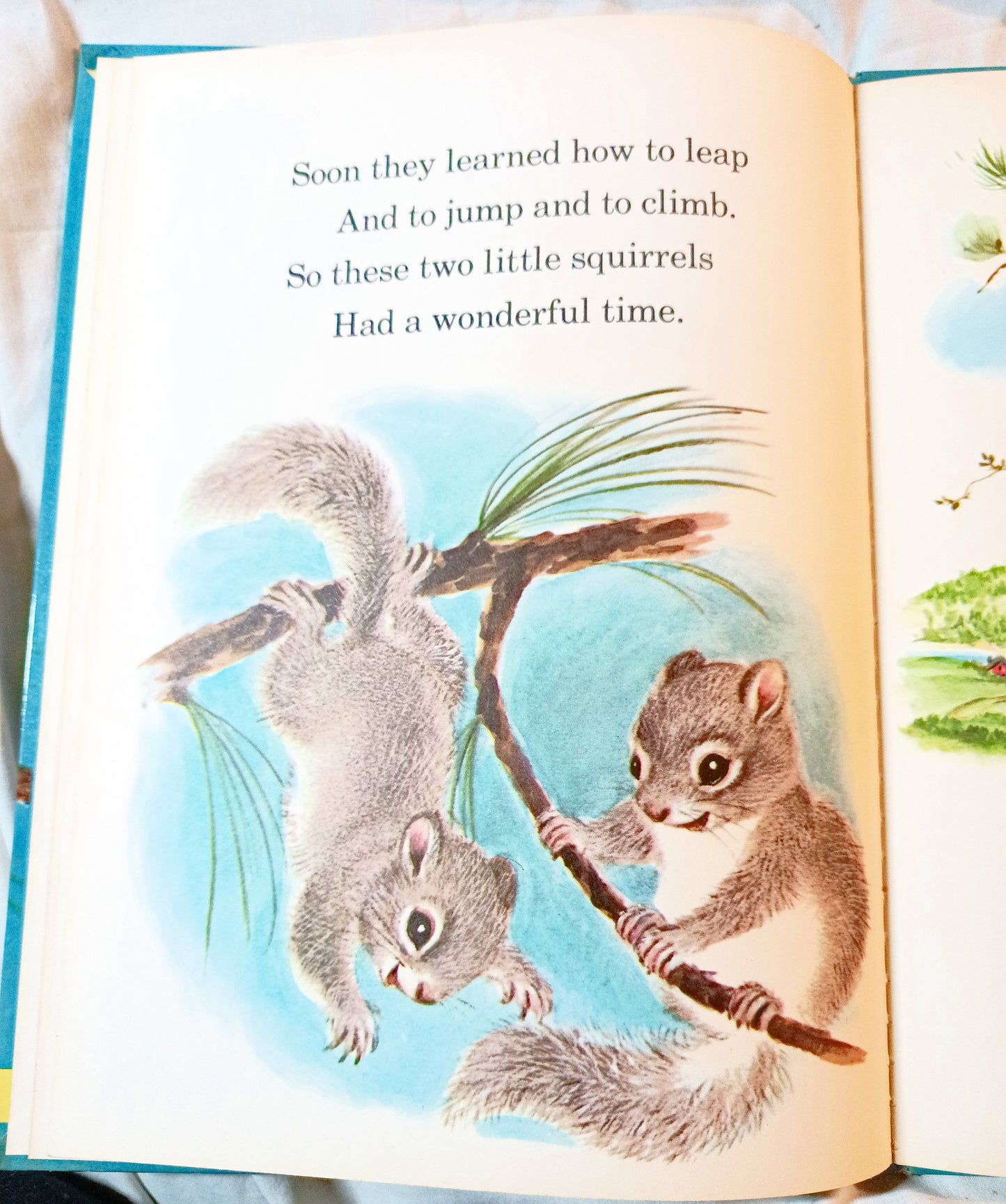 The Squirrel Twins Helen Wing Rand McNally Giant Book 1961 - TulipStuff