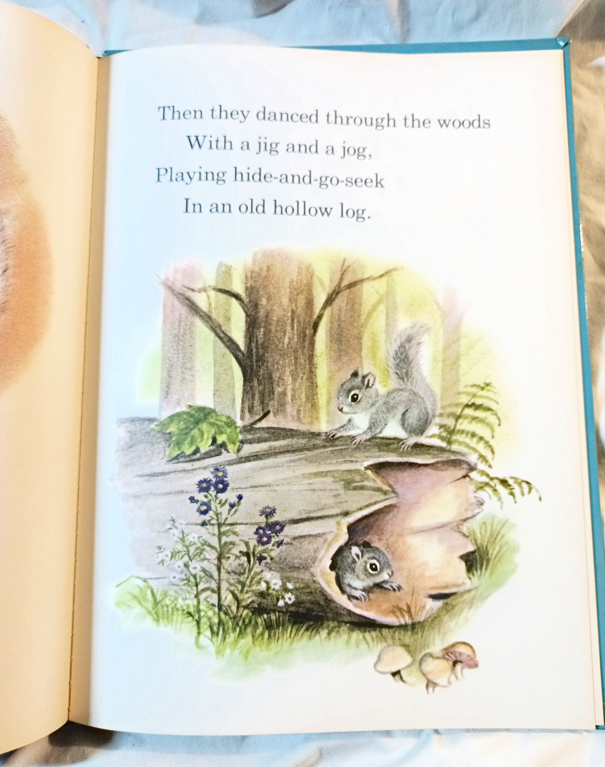 The Squirrel Twins Helen Wing Rand McNally Giant Book 1961 - TulipStuff