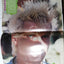 Star Hits Magazine July 1987 Beastie Boys Madonna Siouxsie Billy Idol INXS - TulipStuff