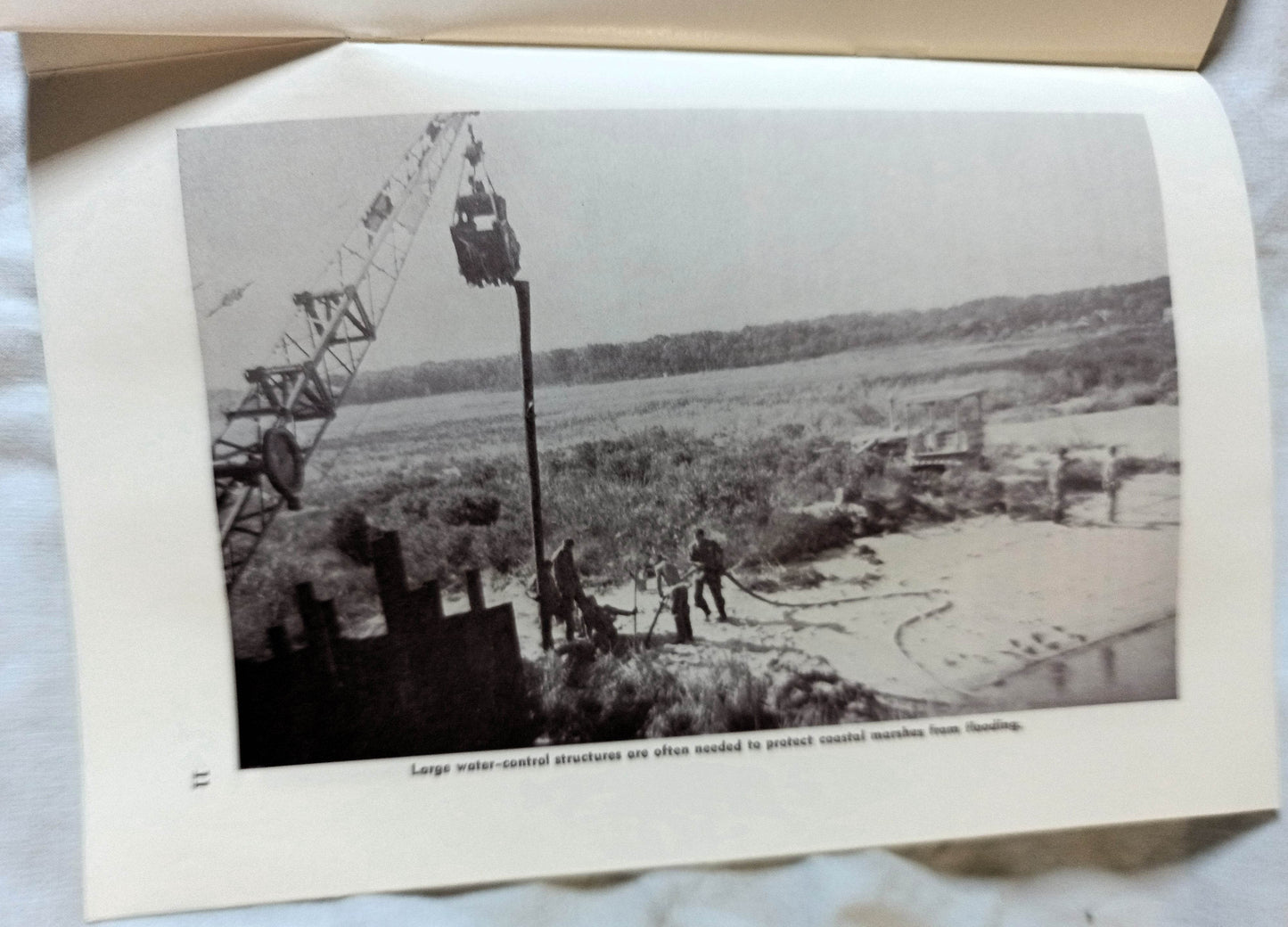 The Story Of The Mosquito And Its Control New Jersey 1964 - TulipStuff