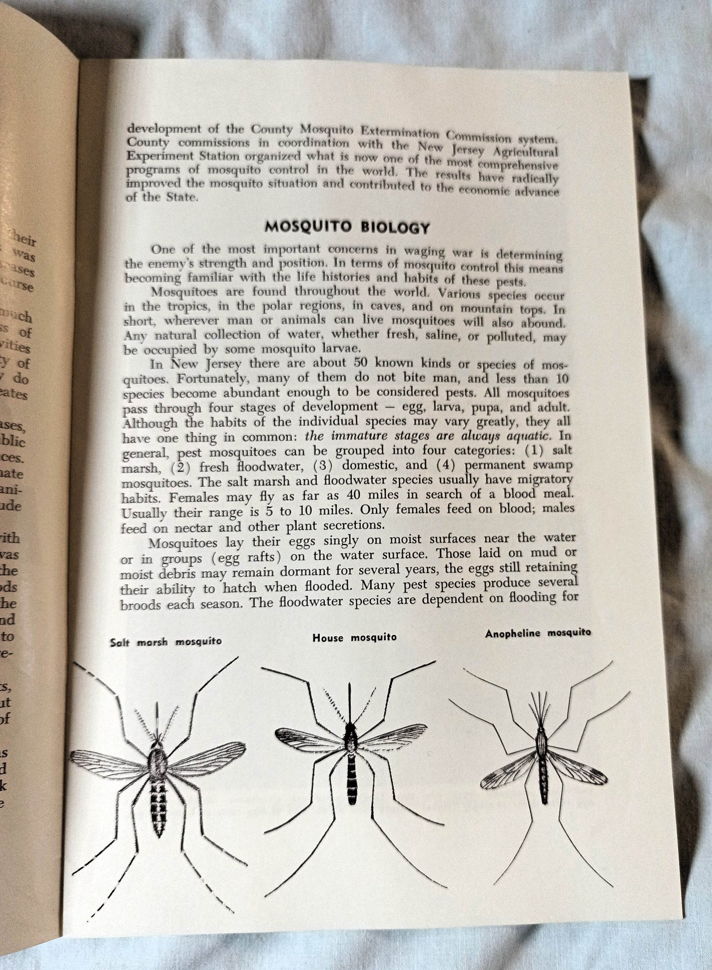 The Story Of The Mosquito And Its Control New Jersey 1964 - TulipStuff