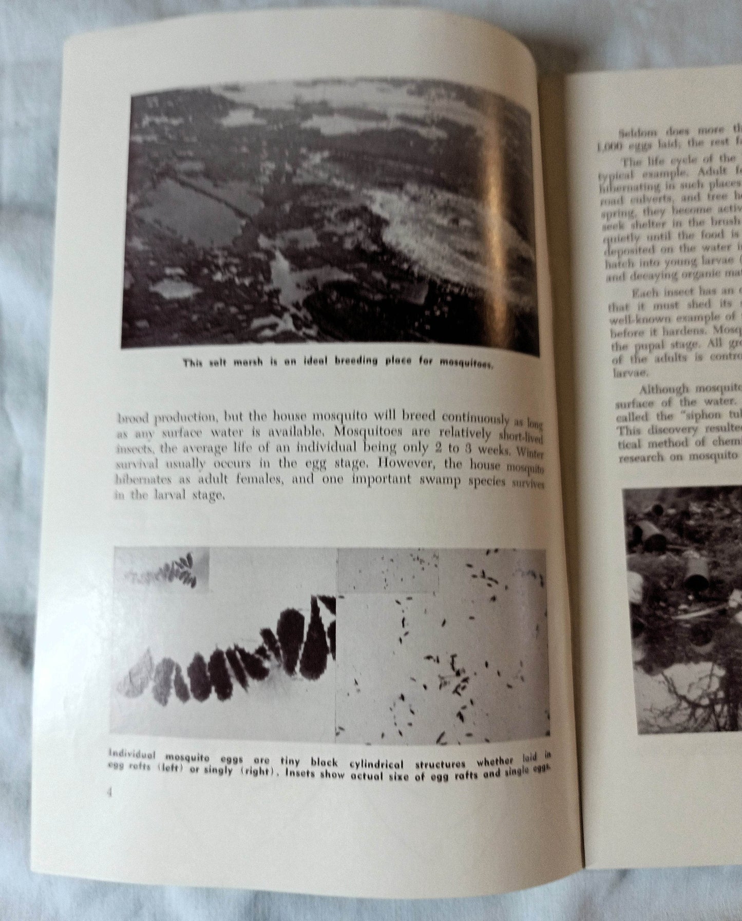 The Story Of The Mosquito And Its Control New Jersey 1964 - TulipStuff