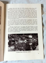 Load image into Gallery viewer, The Story Of The Mosquito And Its Control New Jersey 1964 - TulipStuff
