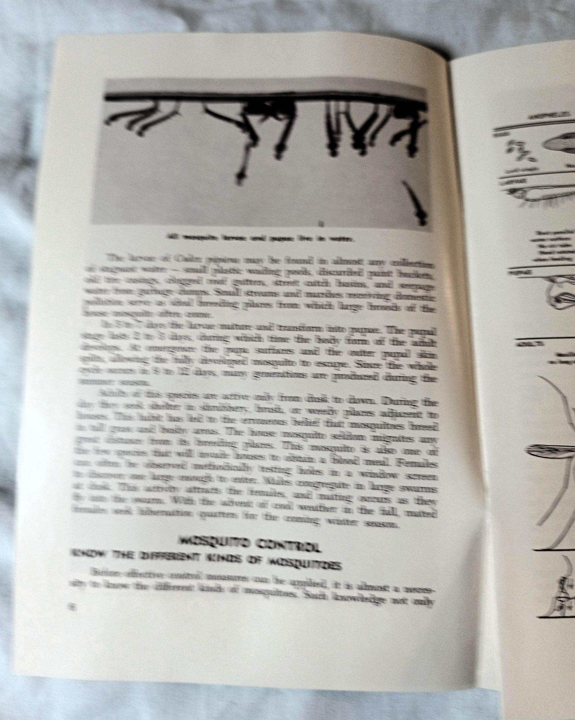 The Story Of The Mosquito And Its Control New Jersey 1964 - TulipStuff