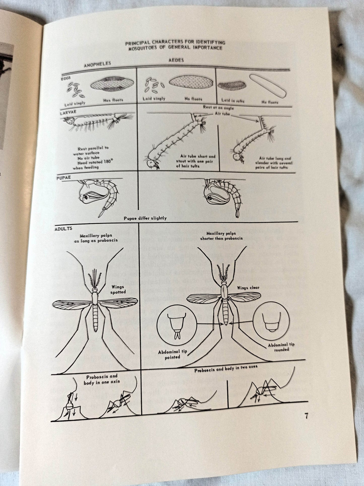The Story Of The Mosquito And Its Control New Jersey 1964 - TulipStuff