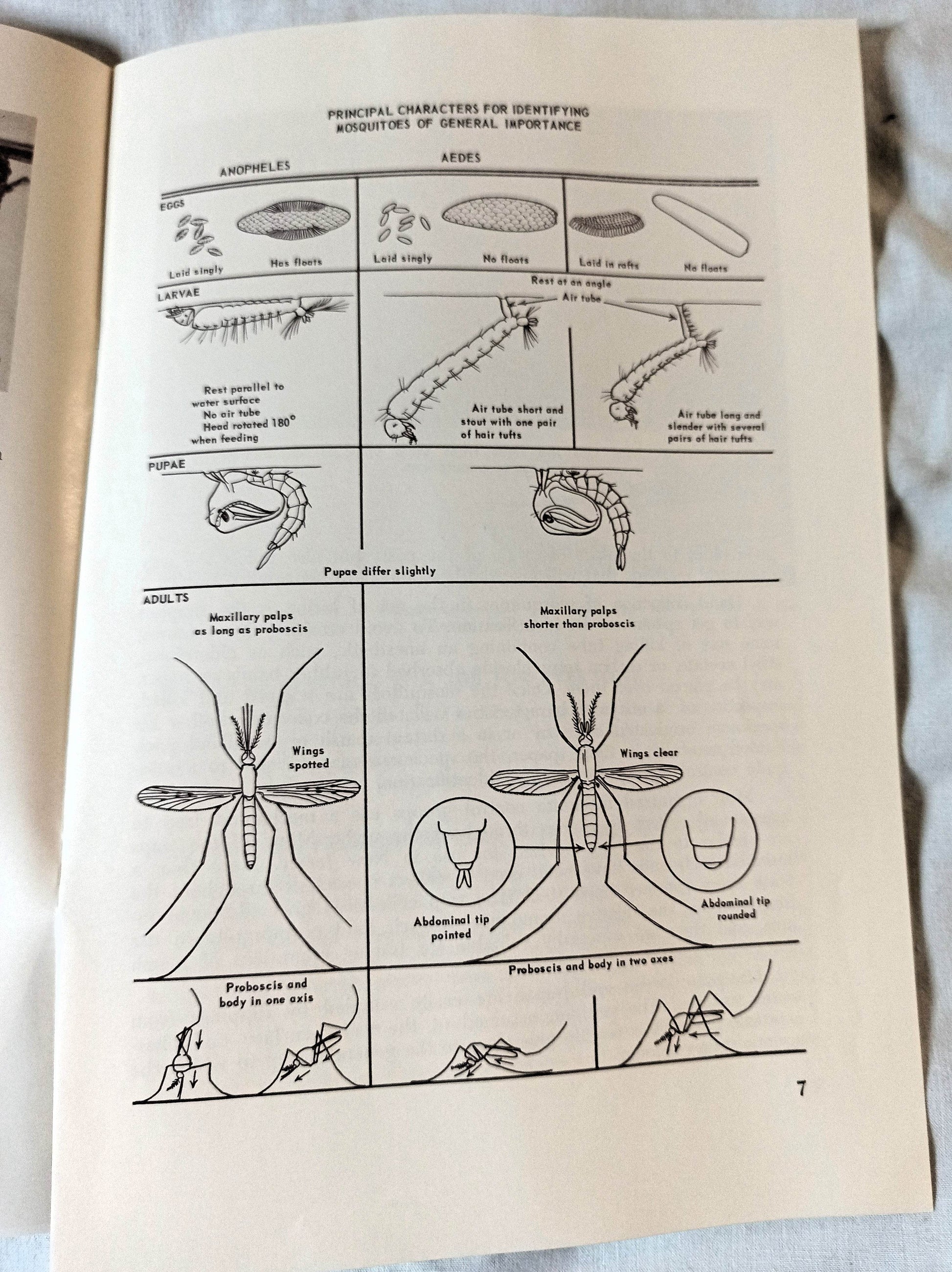 The Story Of The Mosquito And Its Control New Jersey 1964 - TulipStuff