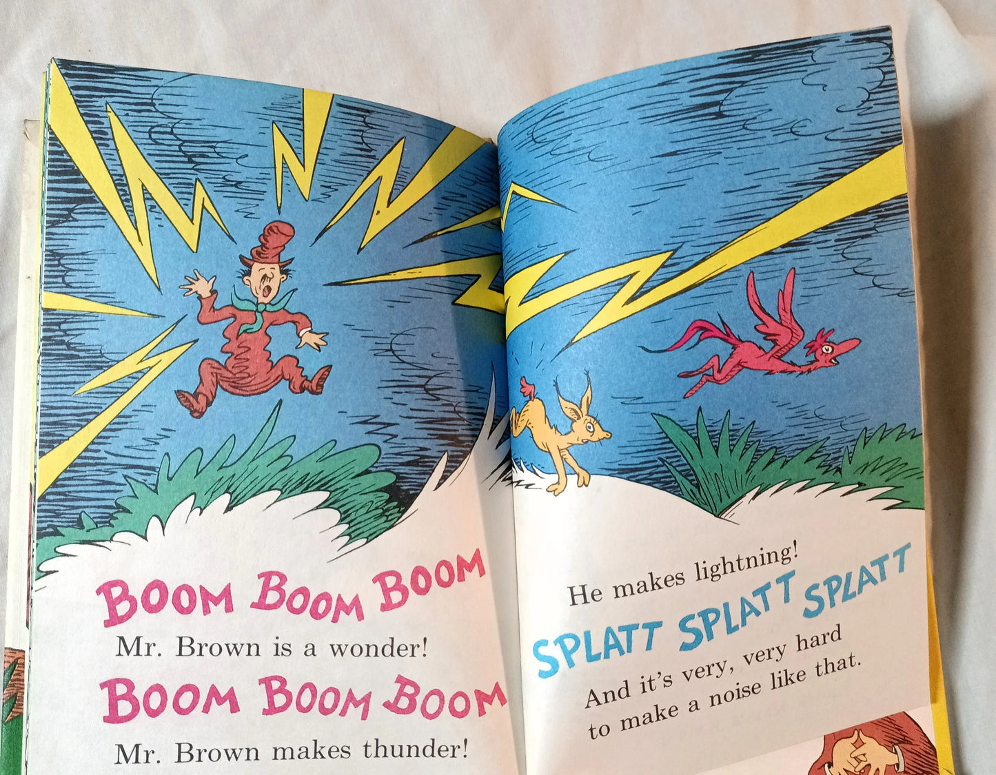 Dr Seuss Mr Brown Can Moo Can You Book Club Edition 1970 - TulipStuff