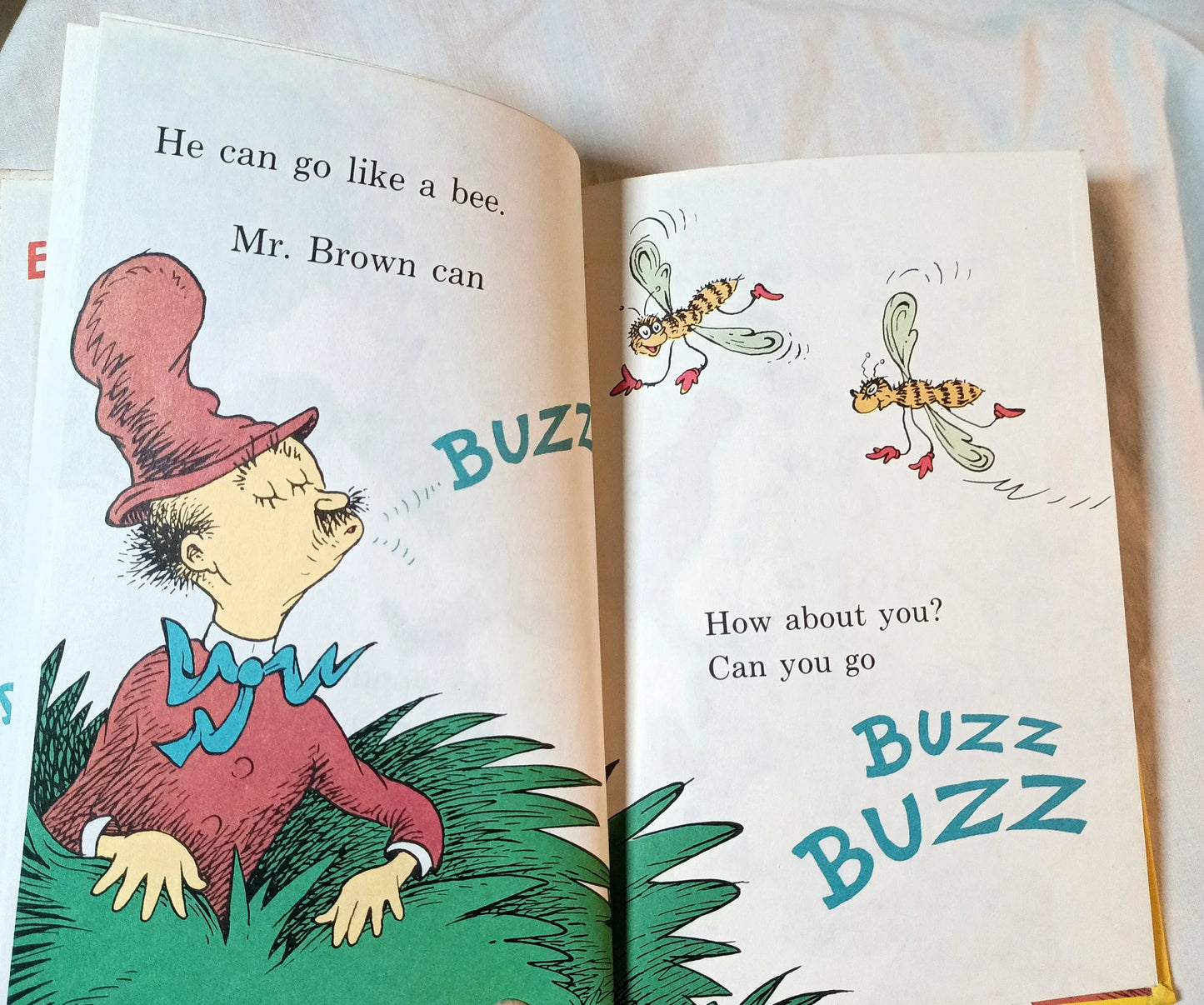 Dr Seuss Mr Brown Can Moo Can You Book Club Edition 1970 - TulipStuff