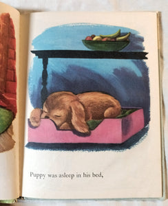 Surprise! Lucy Ozone Rand McNally Elf Book Hardcover 1956 - TulipStuff