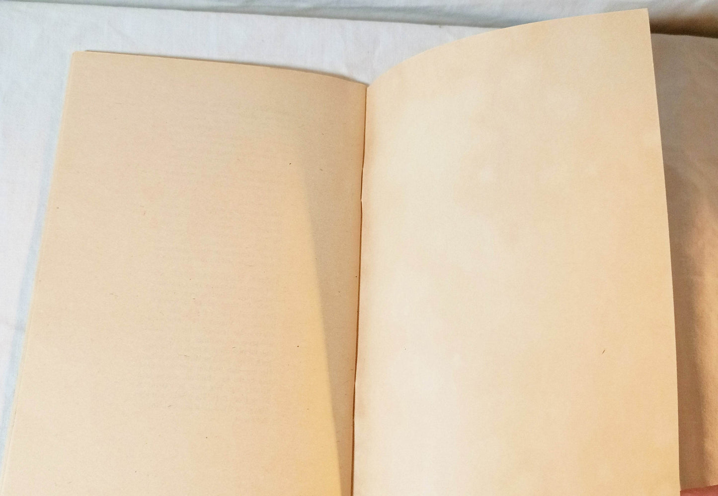 Talking Bones Secrets Of Indian Burial Mounds William O Steele 1978 - TulipStuff