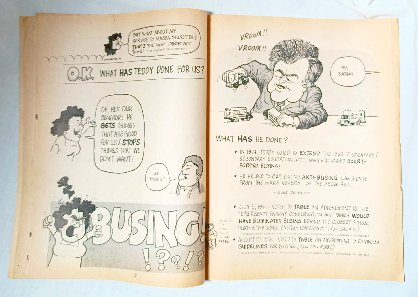 Every Family Has One Ted Kennedy Satire Comedy Book 1982 - TulipStuff