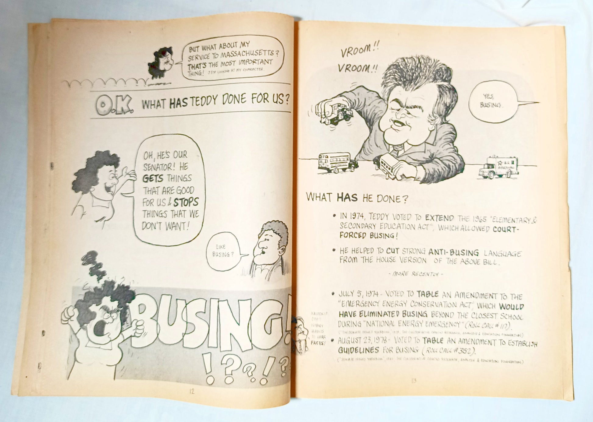 Every Family Has One Ted Kennedy Satire Comedy Book 1982 - TulipStuff