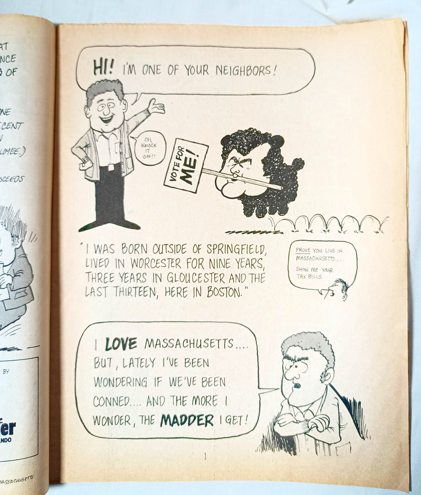 Every Family Has One Ted Kennedy Satire Comedy Book 1982 - TulipStuff