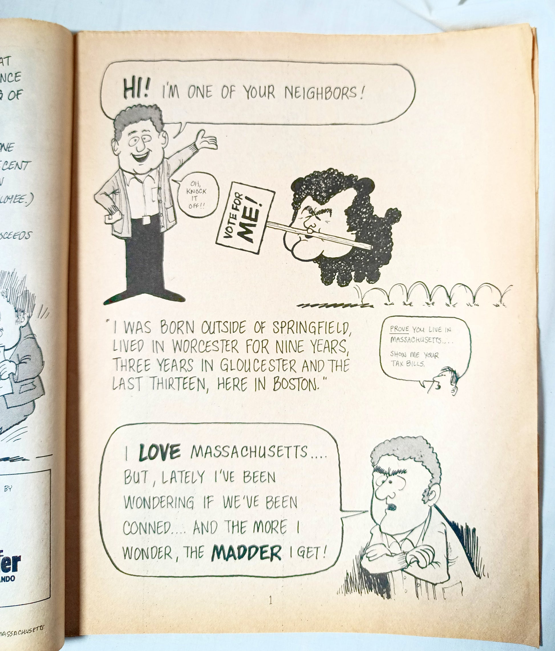 Every Family Has One Ted Kennedy Satire Comedy Book 1982 - TulipStuff