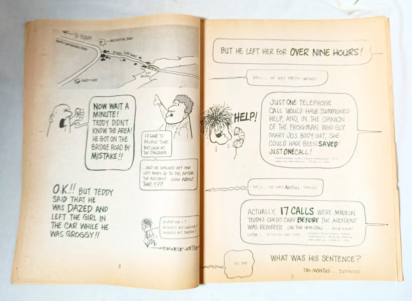 Every Family Has One Ted Kennedy Satire Comedy Book 1982 - TulipStuff