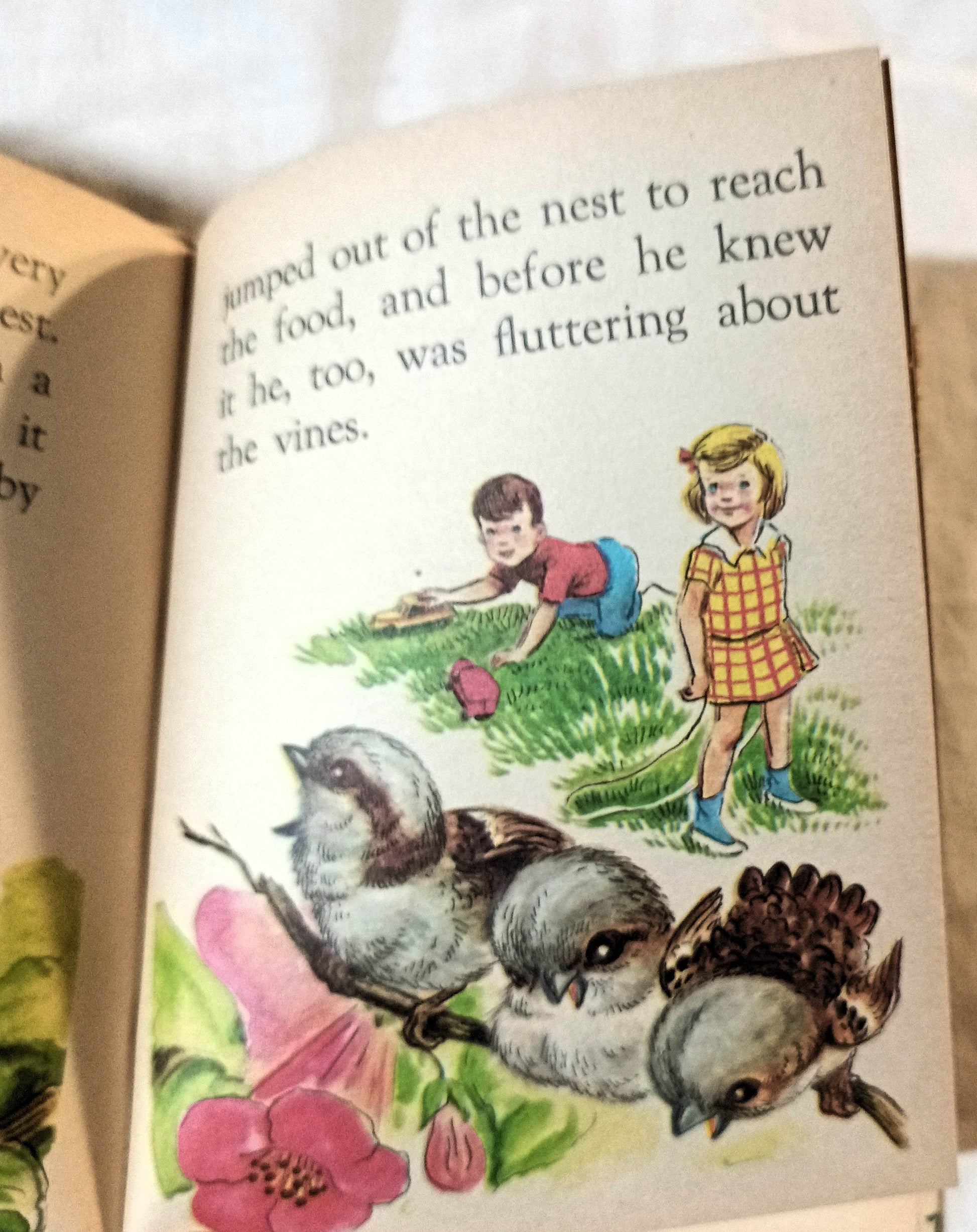 The Sparrows Nest Helen Frances Stanley Rand McNally Elf Book 1969 - TulipStuff