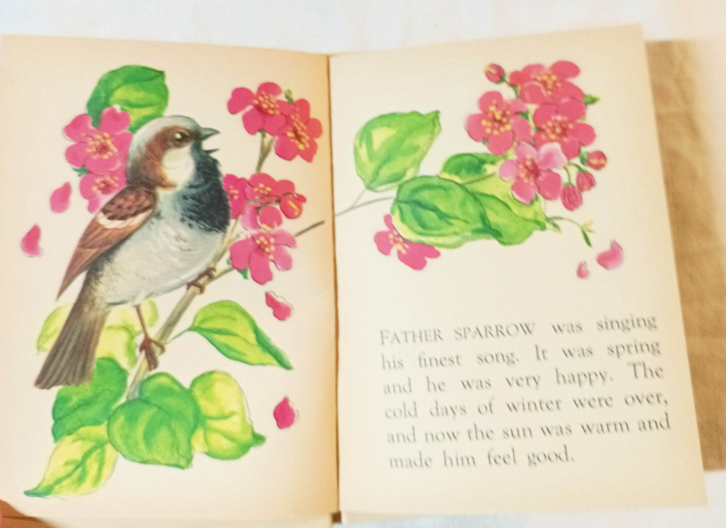 The Sparrows Nest Helen Frances Stanley Rand McNally Elf Book 1969 - TulipStuff