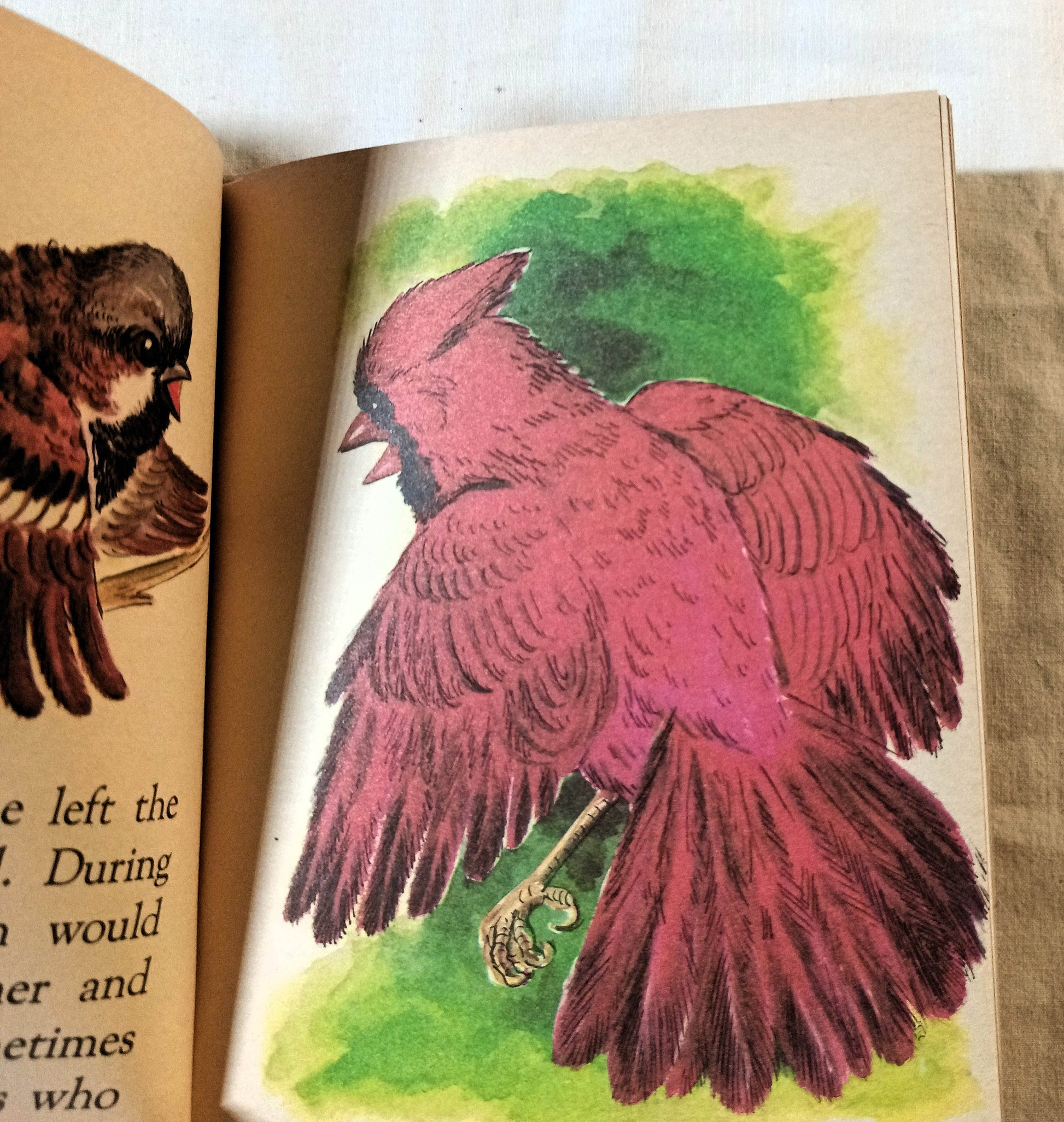 The Sparrows Nest Helen Frances Stanley Rand McNally Elf Book 1969 - TulipStuff