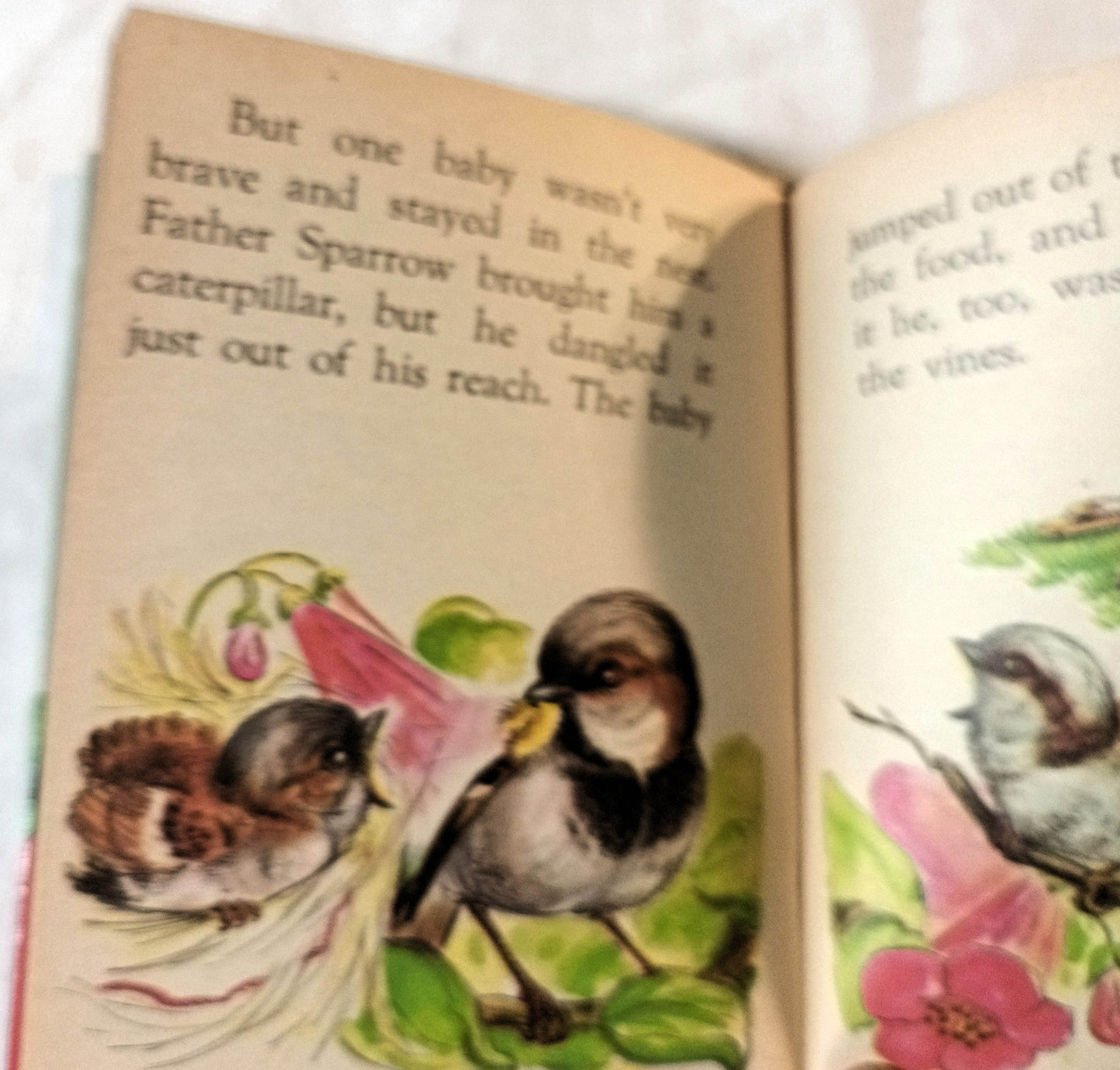 The Sparrows Nest Helen Frances Stanley Rand McNally Elf Book 1969 - TulipStuff