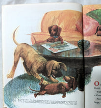 Load image into Gallery viewer, Walt Disney Presents The Ugly Dachschund Little Golden Book 1966 - TulipStuff
