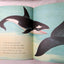 The Whales Go By Fred Phleger Beginner Books Hardcover 1959 - TulipStuff