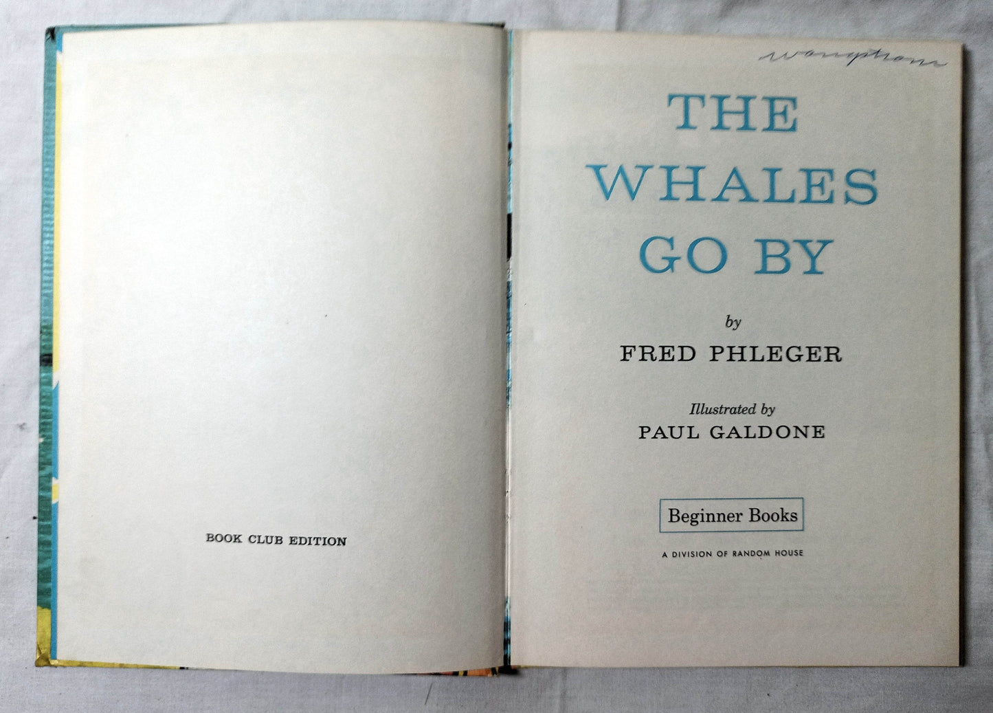 The Whales Go By Fred Phleger Beginner Books Hardcover 1959 - TulipStuff