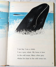 Load image into Gallery viewer, The Whales Go By Fred Phleger Beginner Books Hardcover 1959 - TulipStuff
