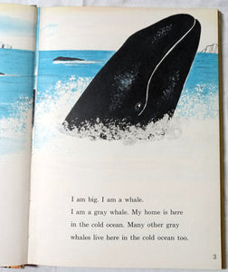 The Whales Go By Fred Phleger Beginner Books Hardcover 1959 - TulipStuff