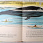 The Whales Go By Fred Phleger Beginner Books Hardcover 1959 - TulipStuff