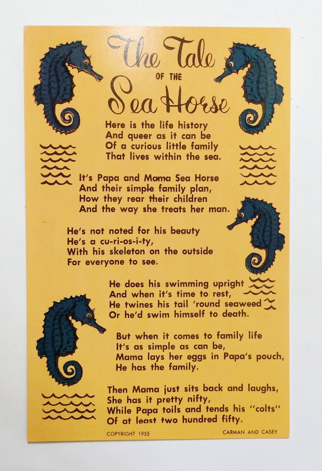 The Tale Of The Sea Horse Carmen and Casey Postcard 1955 - TulipStuff