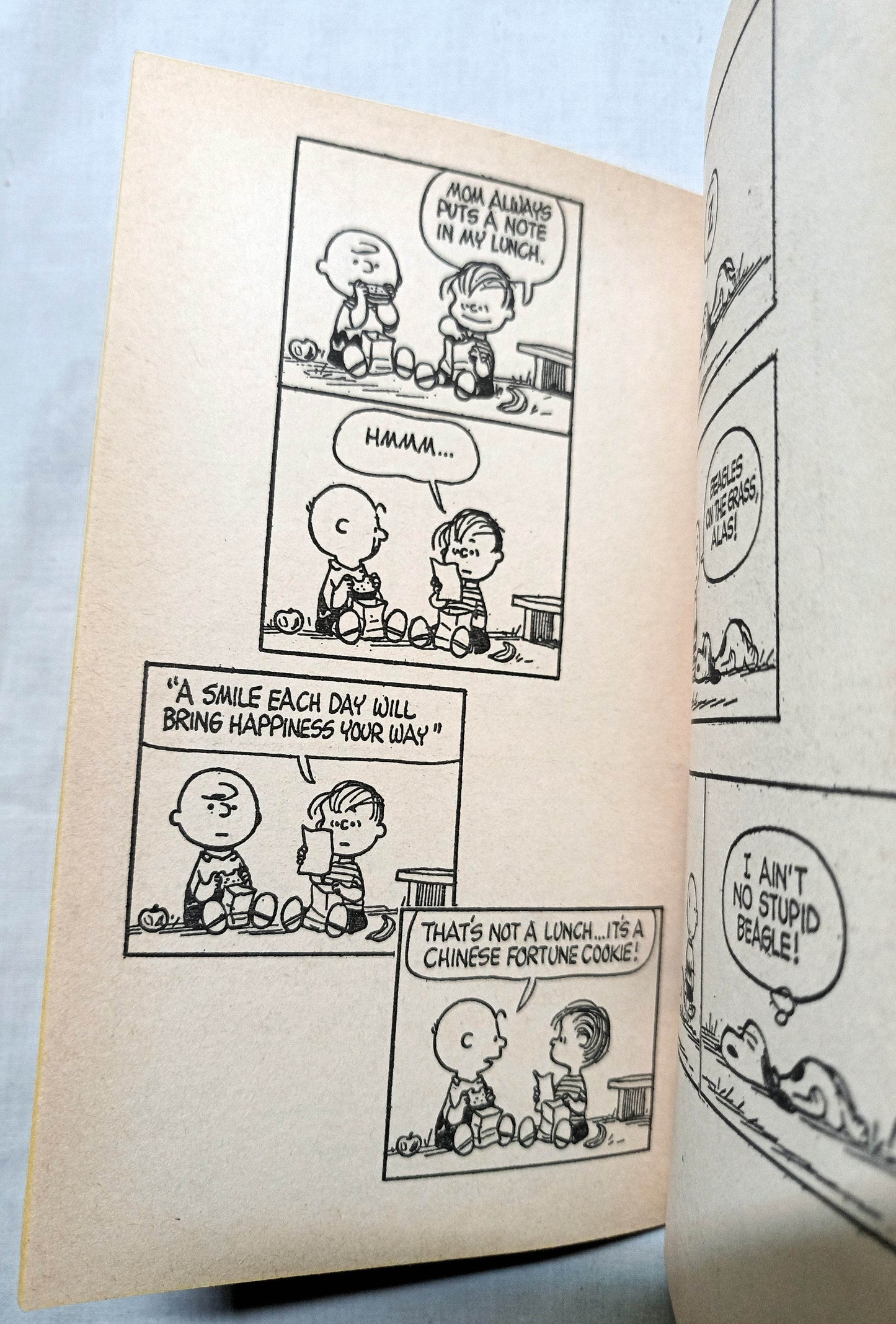 This Is Your Life Charlie Brown Peanuts Charles M Schulz Fawcett 1962 - TulipStuff