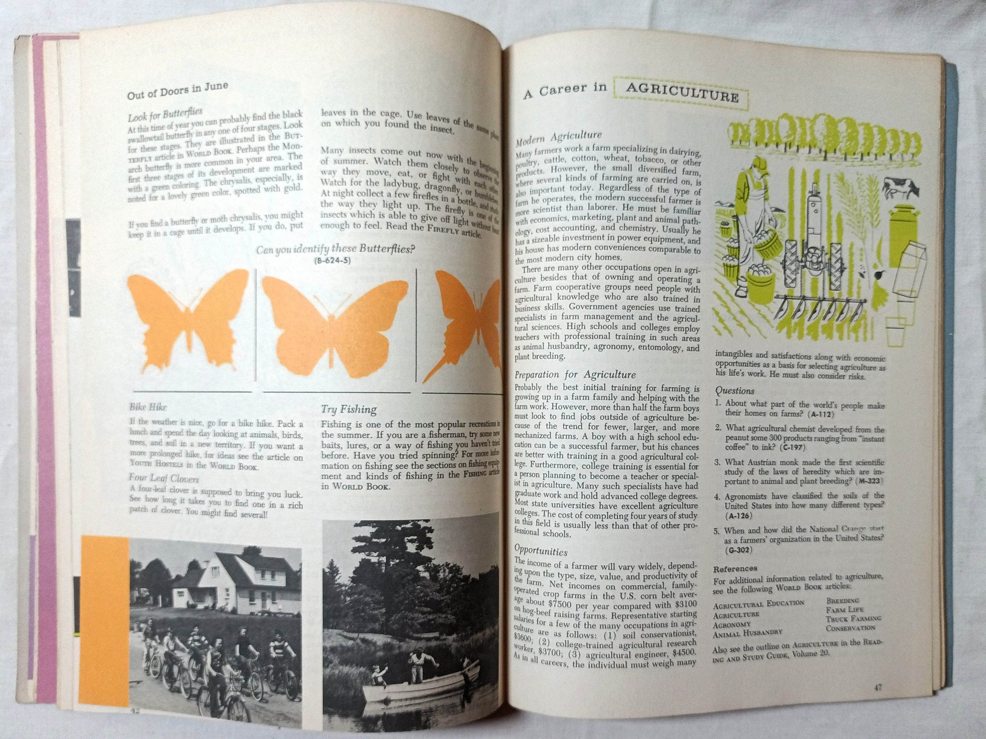 Through The Year With World Book Paperback 1960 - TulipStuff