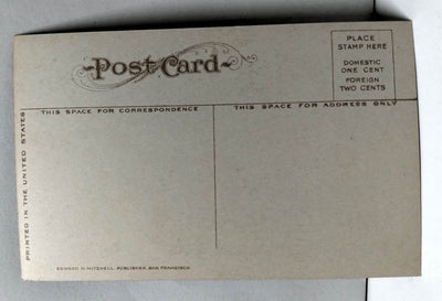 Thurston County Court House City Hall Olympia Washington 1910's Postcard - TulipStuff