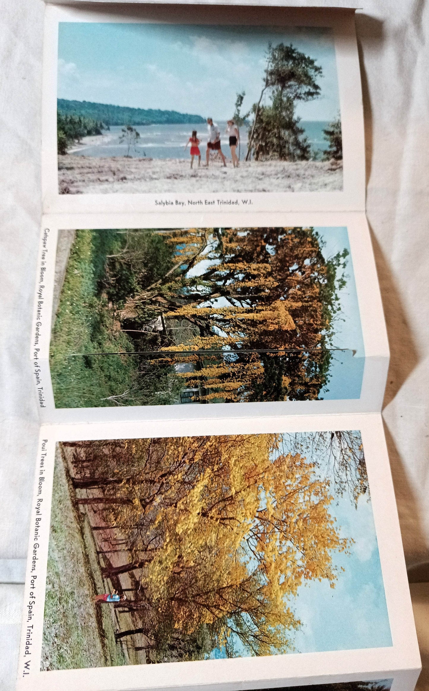 Trinidad Land Of The Humming Bird Late 1950s Postcard Booklet 13 views - TulipStuff