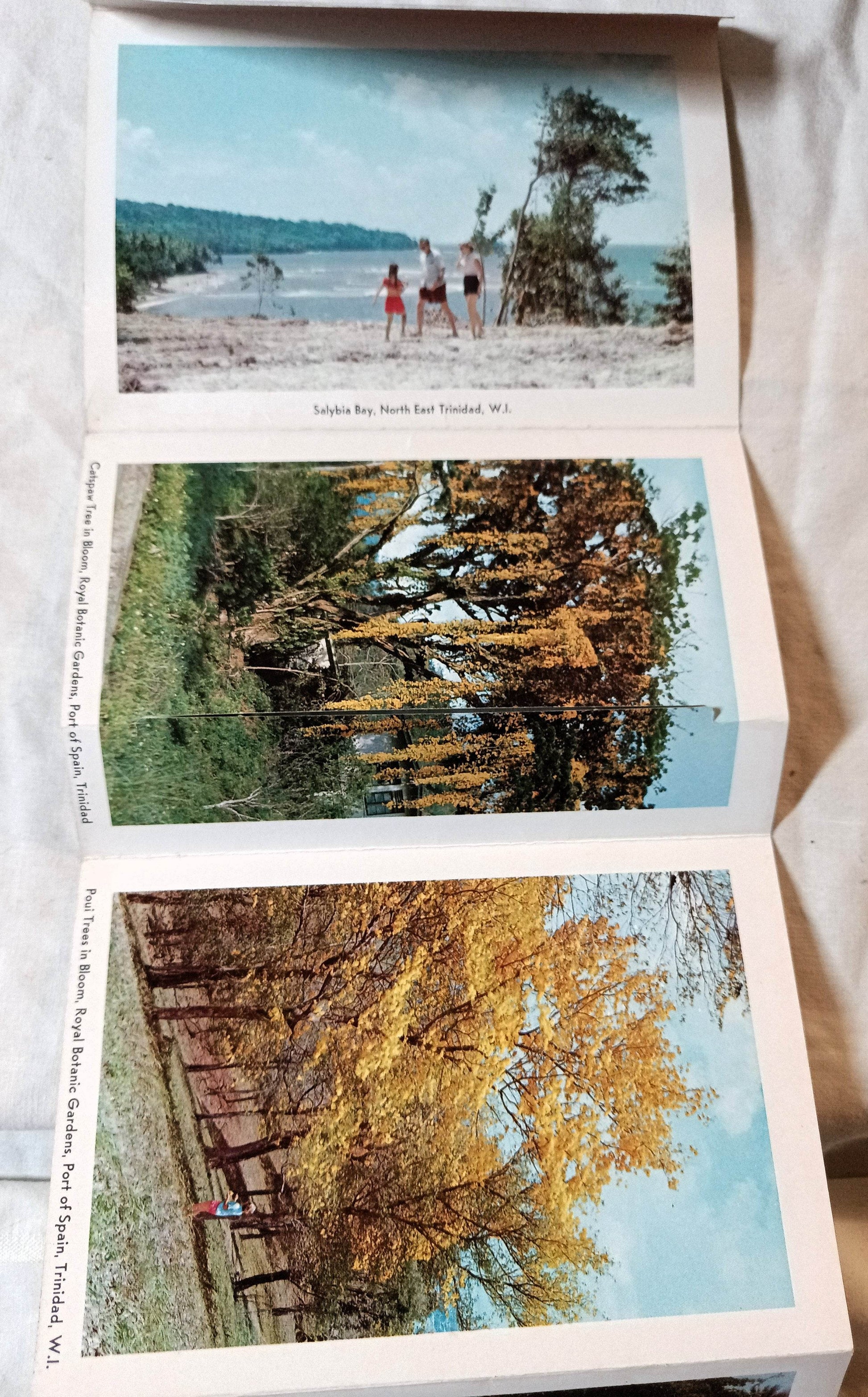 Trinidad Land Of The Humming Bird Late 1950s Postcard Booklet 13 views - TulipStuff