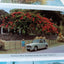 Trinidad Land Of The Humming Bird Late 1950s Postcard Booklet 13 views - TulipStuff