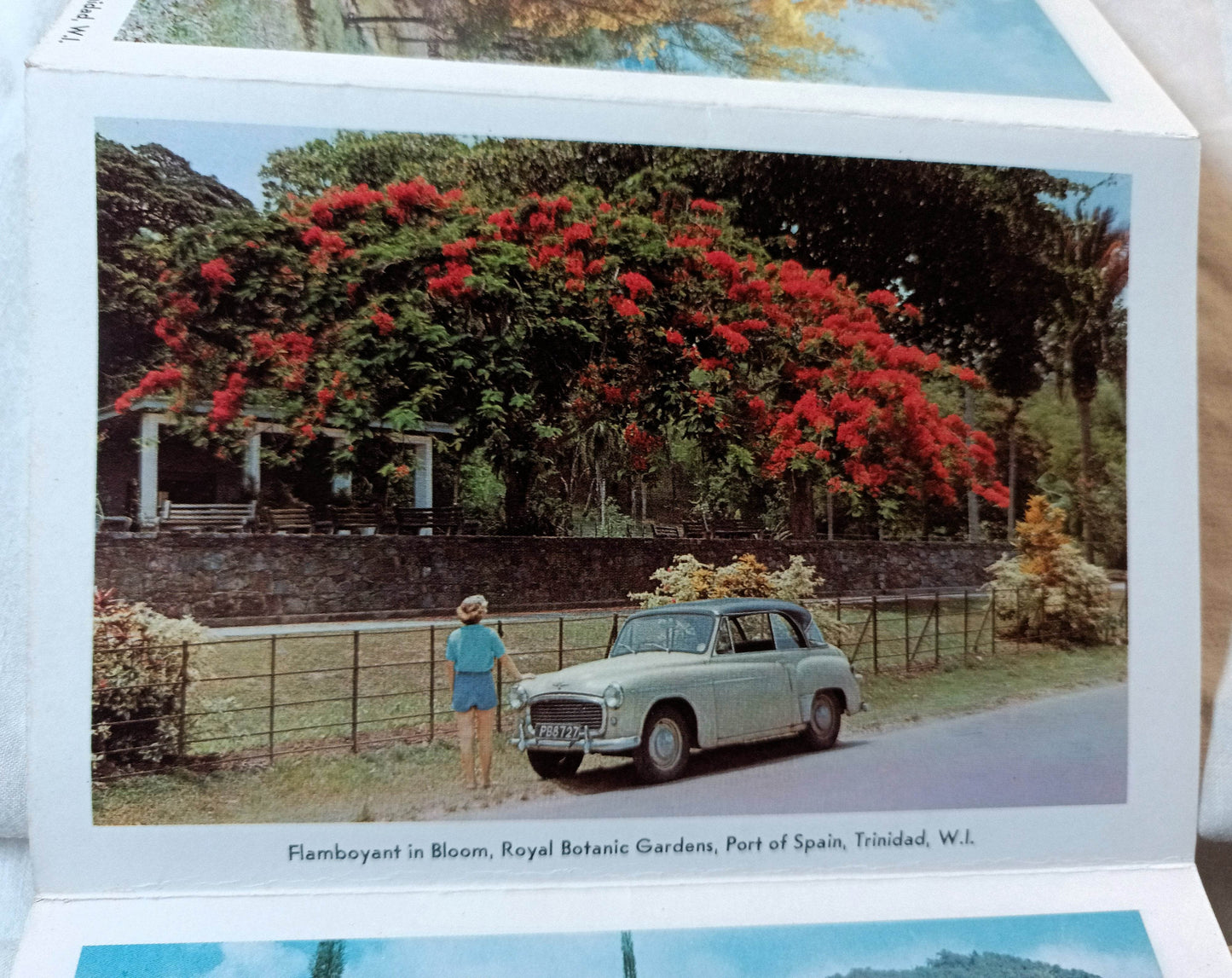 Trinidad Land Of The Humming Bird Late 1950s Postcard Booklet 13 views - TulipStuff