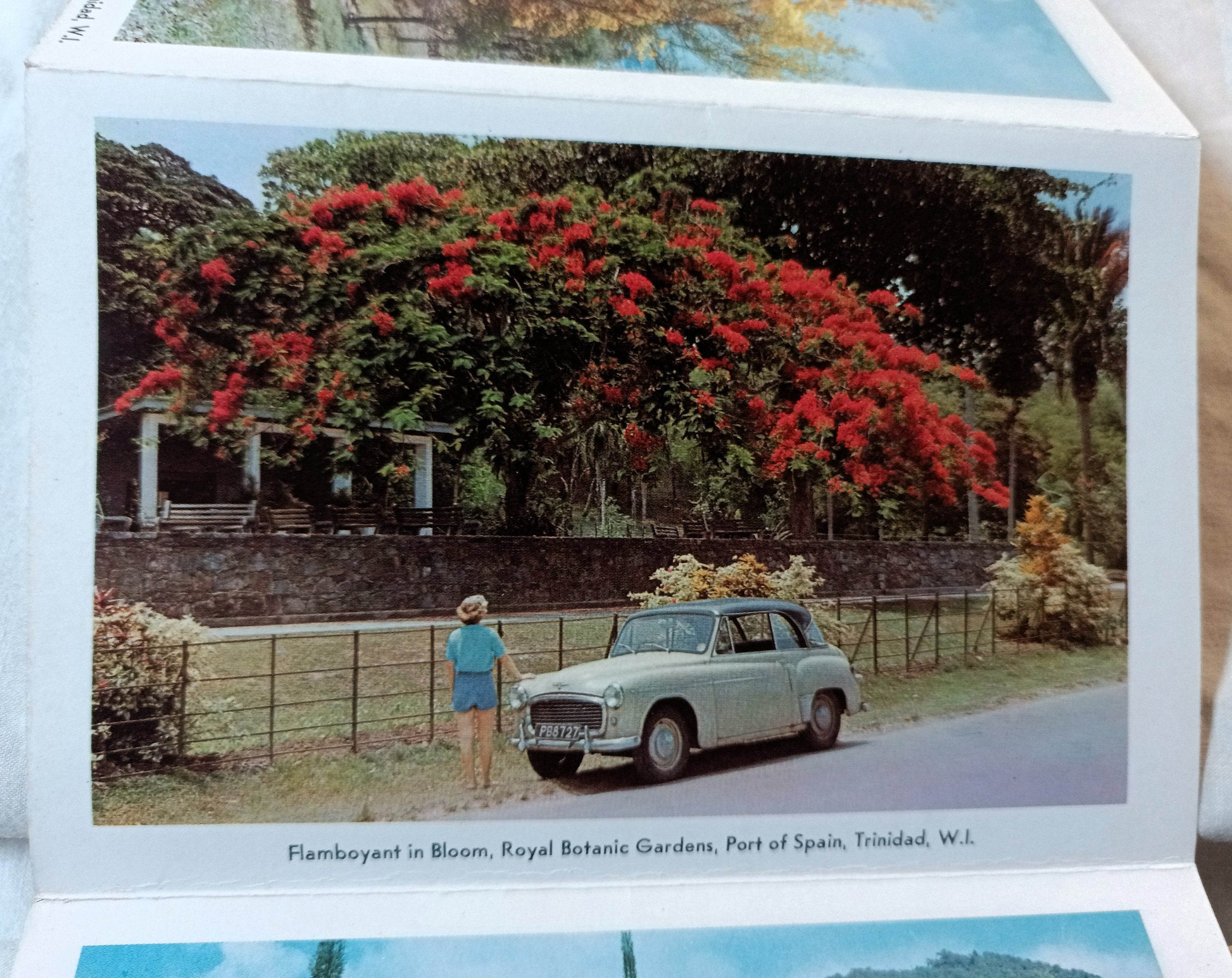 Trinidad Land Of The Humming Bird Late 1950s Postcard Booklet 13 views - TulipStuff
