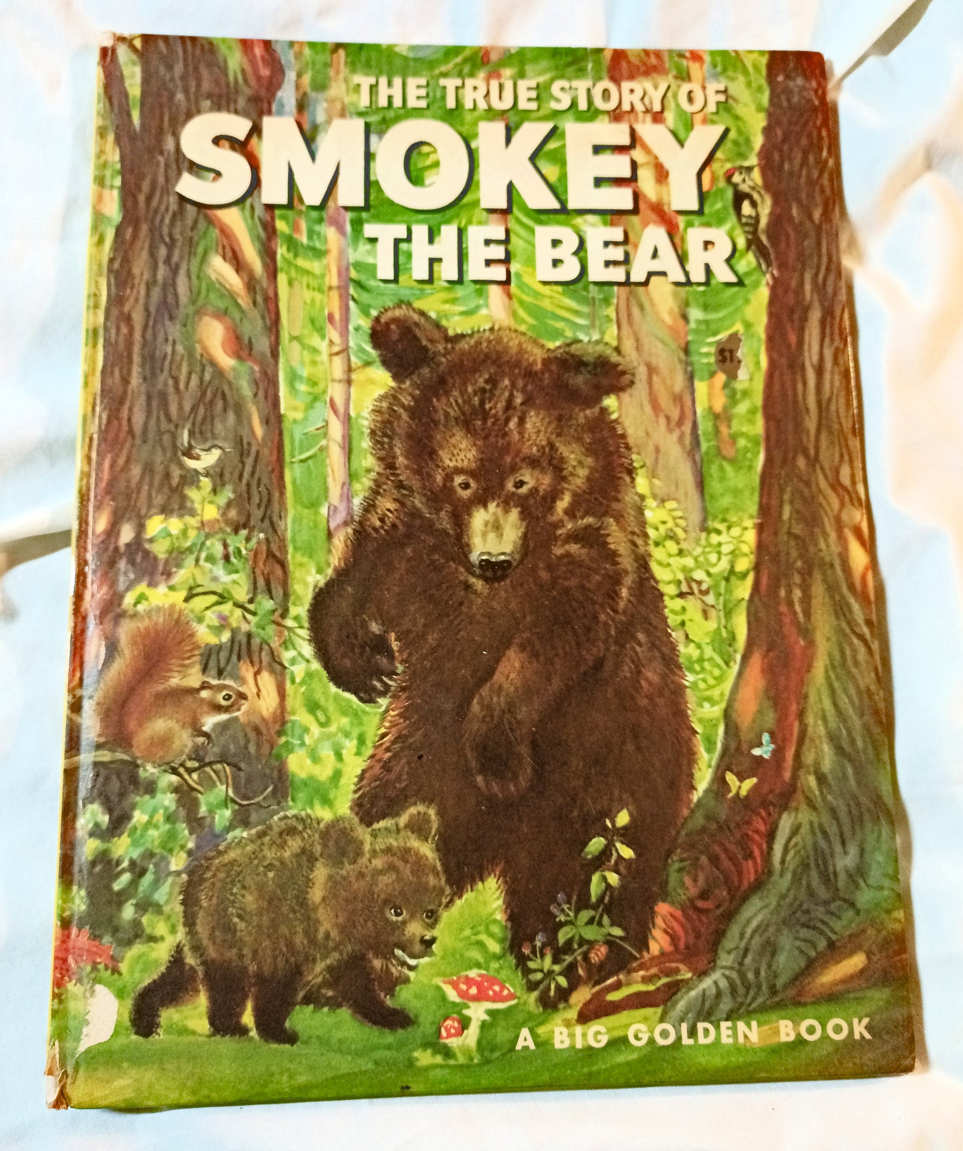 The True Story Of Smokey The Bear Big Golden Book 1966 - Tuliptuff