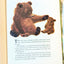 The True Story Of Smokey The Bear Big Golden Book 1966 - Tuliptuff