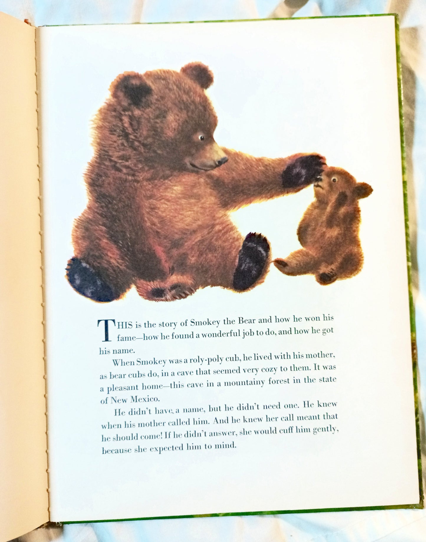 The True Story Of Smokey The Bear Big Golden Book 1966 - Tuliptuff