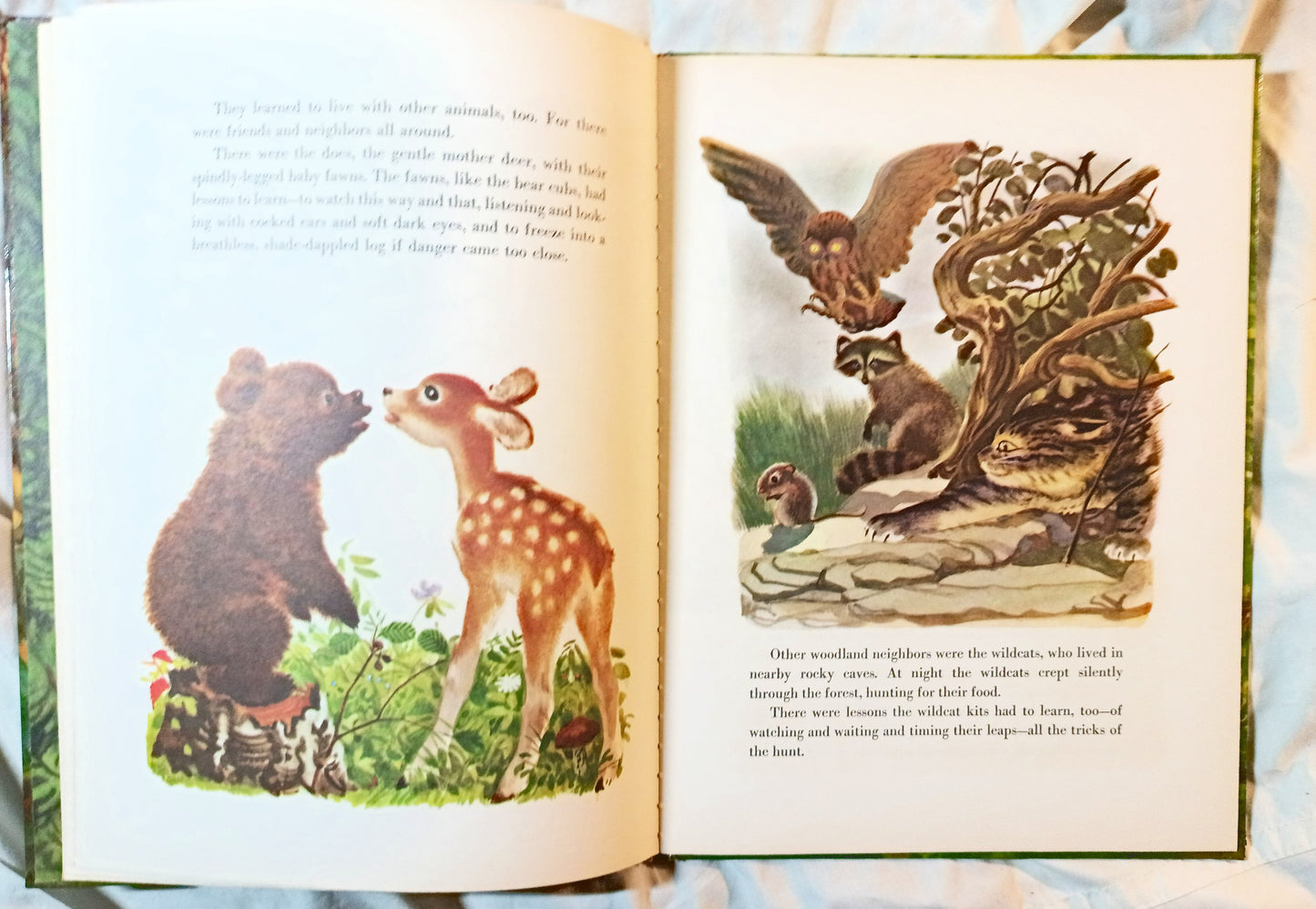 The True Story Of Smokey The Bear Big Golden Book 1966 - Tuliptuff