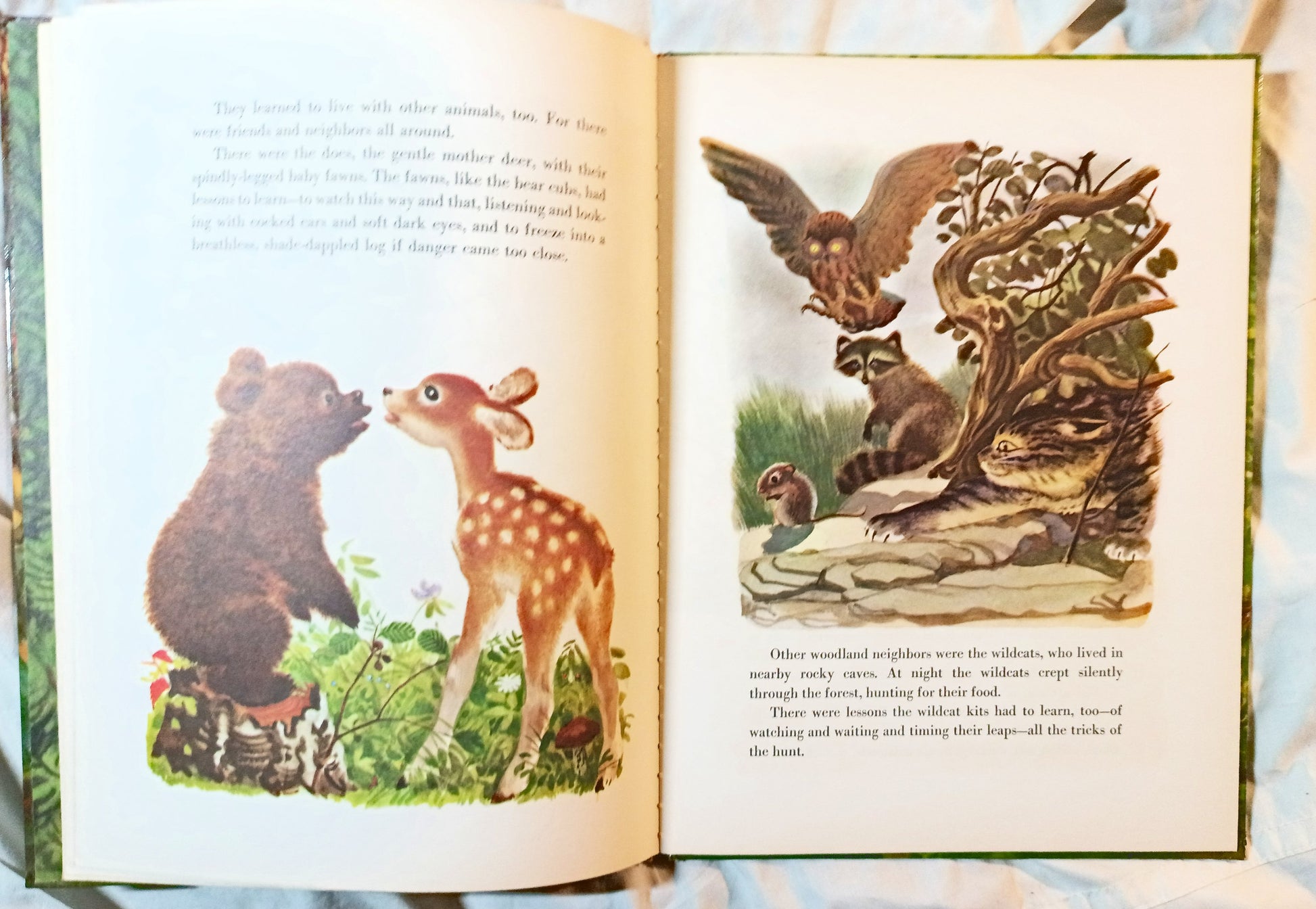 The True Story Of Smokey The Bear Big Golden Book 1966 - Tuliptuff